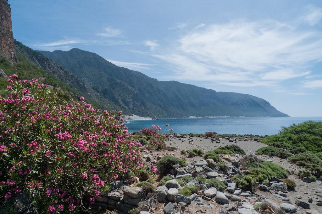 Artemis Studios Agia Roumeli Rom bilde